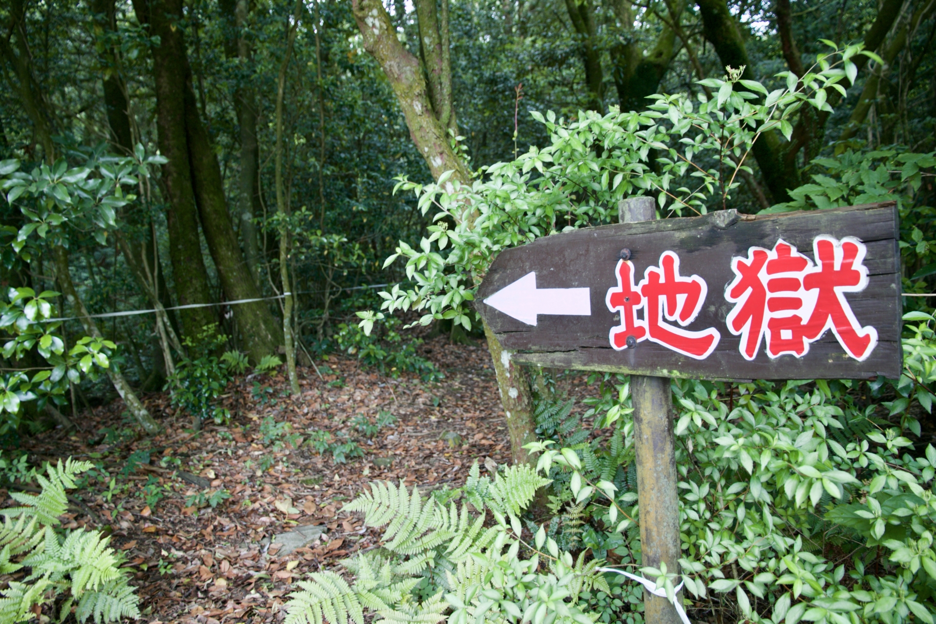 借金地獄に陥ってしまう