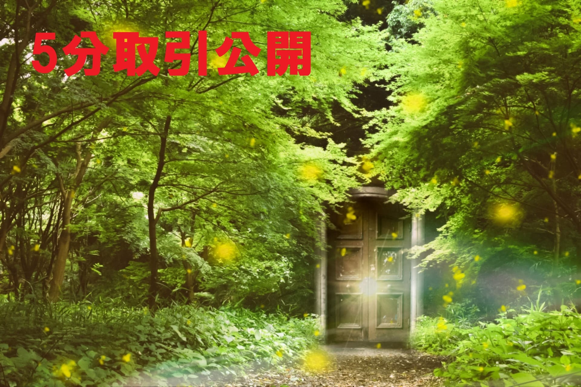 森の中のドア